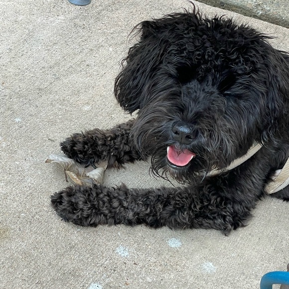 Meet your Posher, Denice - Picture 4 of 4